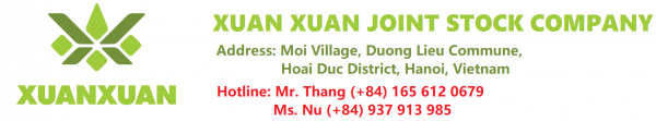 Xuân Xuân