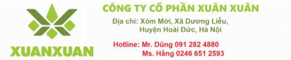 Xuân Xuân