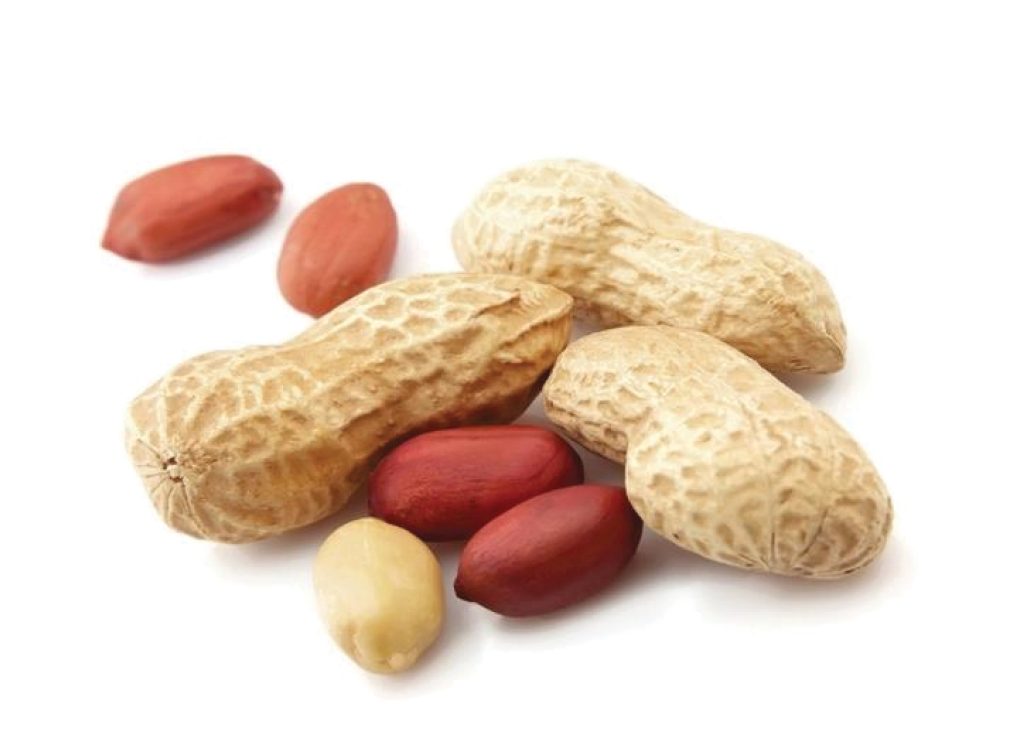 CÔNG TY CỔ PHẦN XUÂN XUÂN