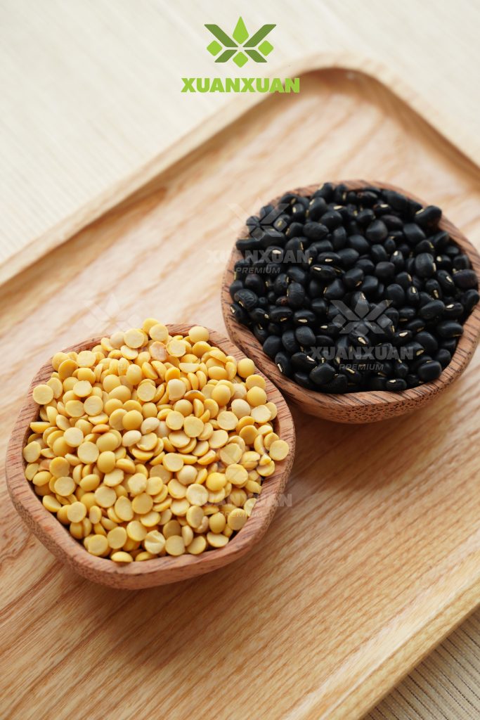 CÔNG TY CỔ PHẦN XUÂN XUÂN